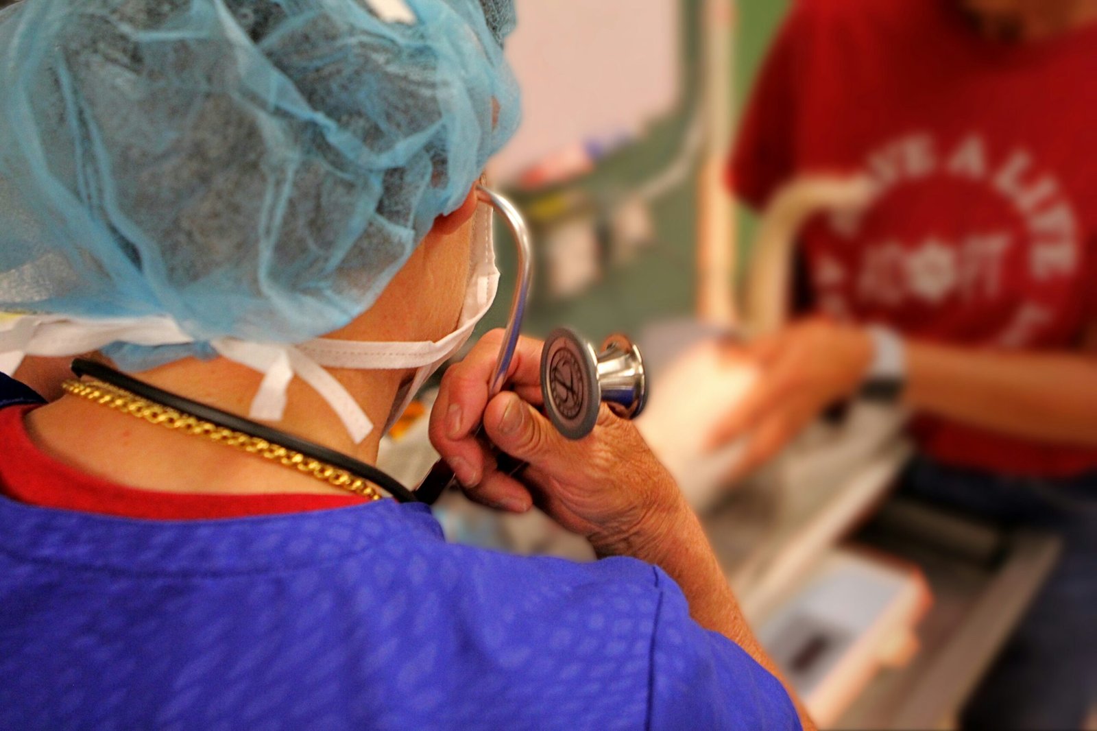 Cat supported through community veterinary care
